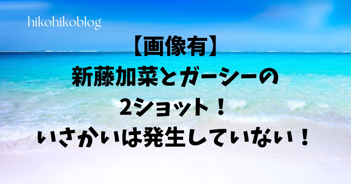 【画像有】新藤加菜とガーシーの2ショット！いさかいは発生していない！