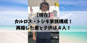 hikohikoblog904